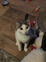 /album/14-12-2025/whatsapp-image-2025-12-14-at-21-04-57-2-jpeg/